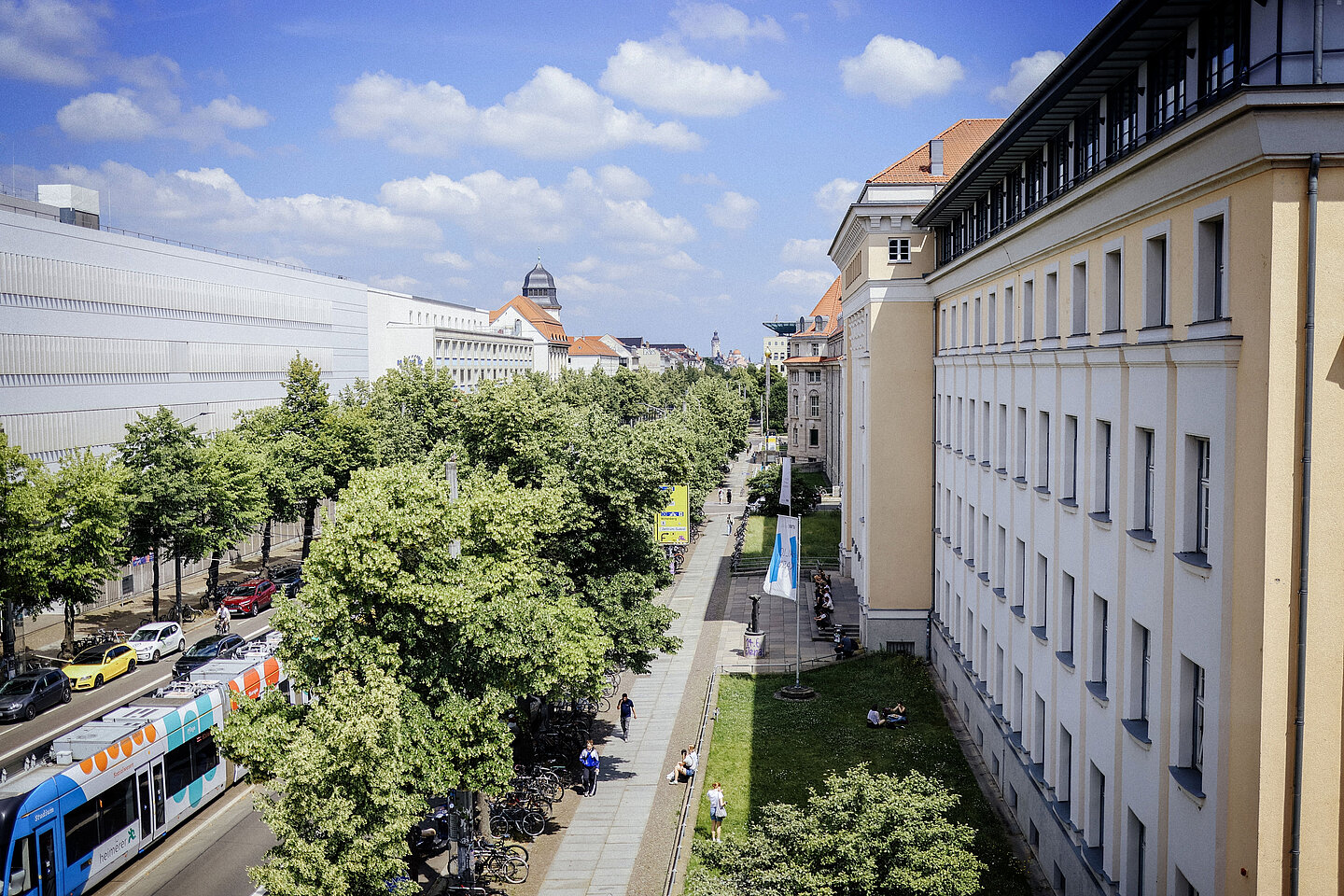 Blick auf Leipziger Straße Breite Straße mit Bäumen, Straßenbahn, Autos und Fußweg zwischen historischen Gebäuden bei sonnigem Wetter.