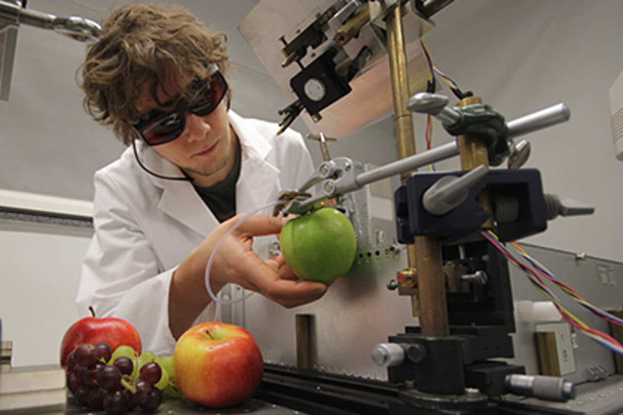 A young scientist conducts tries with several fruits in the laboratory
