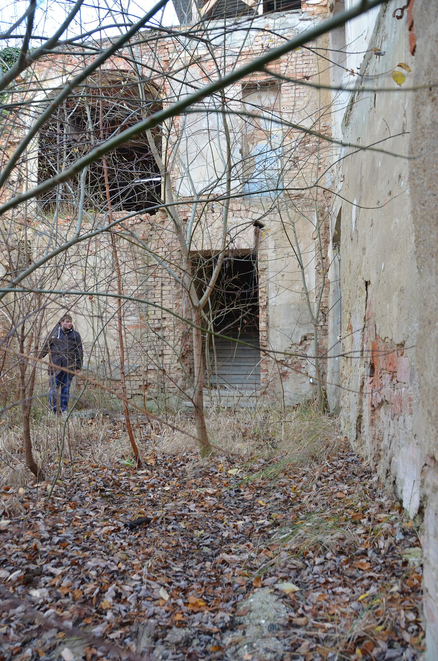 Verwilderte Brache und altes Gemäuer im Herbst in Zittau