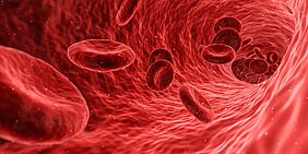 medizinische Darstellung einer Blutbahn mit roten Blutkörperchen von innen