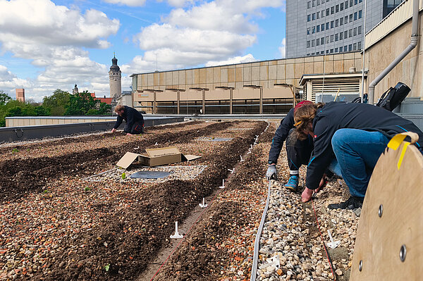 Gewandhausdach zwei Männer setzen auf einem Flachdach Sensoren
