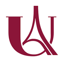 Logo IUT Paris- Rives de Seine