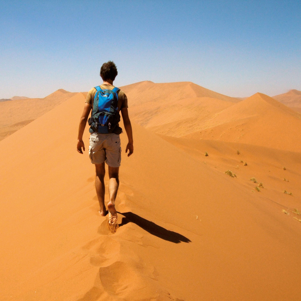 Studiengang Bibliotheks- und Informationswissenschaft Master Symboldbild Studiengang Bibliotheks- und Informationswissenschaft Master
